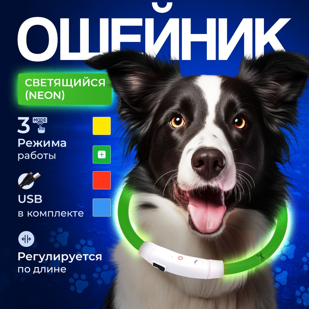 Ошейник светящийся светодиодный для собак, 35 см, регулируемый по длине, провод для зарядки в комплекте #1
