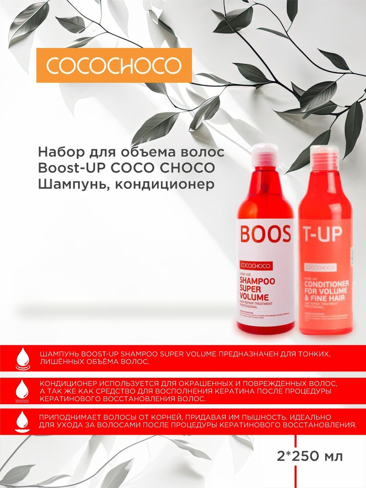 COCOCHOCO Набор для объема волос Boost-UP Шампунь 250 мл+Кондиционер 250 мл  #1