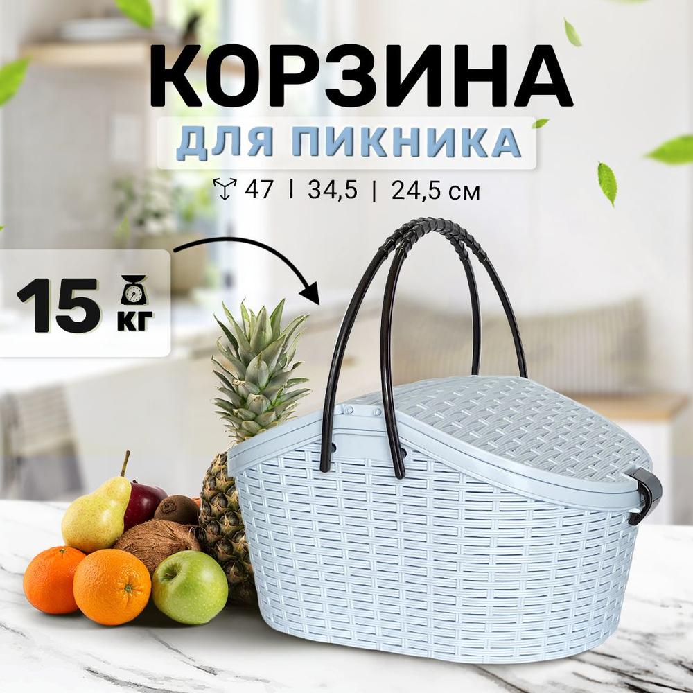 ZOOexpress корзина для пикника, 47х34,5х24,5 см, голубой #1