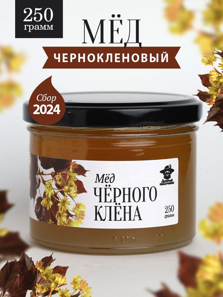 Чернокленовый мед 250 г в стеклянной банке, для иммунитета, вкусный подарок  #1