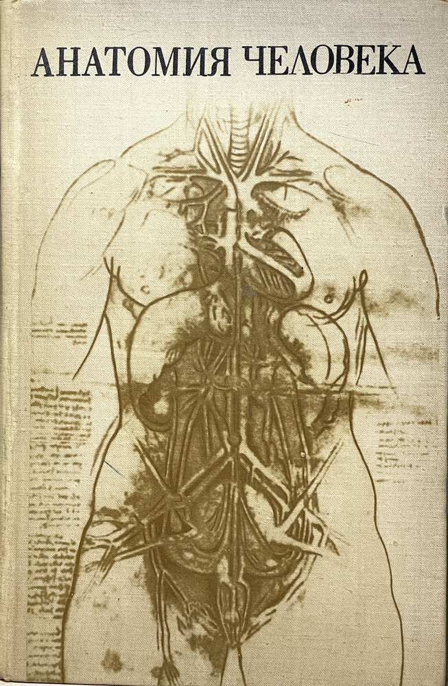 Анатомия человека | Михайлов С. С. #1