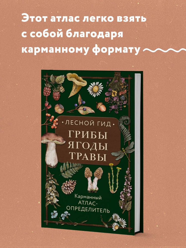 Лесной гид: грибы, ягоды, травы. Карманный атлас-определитель | Семенова Людмила Семеновна  #1