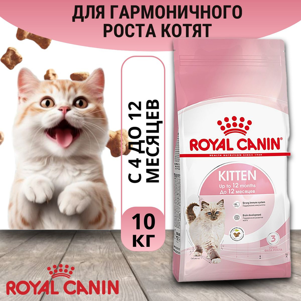 Сухой корм для котят от 4 до 12 месяцев, RC Kitten, 10 кг #1