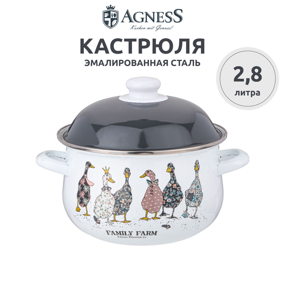 Кастрюля эмалированная Agness "Family Farm" для всех видов плит 2.8 л  #1