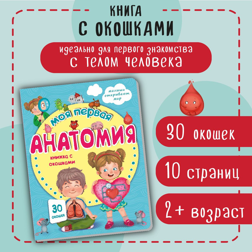 Книга детская для малышей с окошками Виммельбух | Иванова Оксана  #1