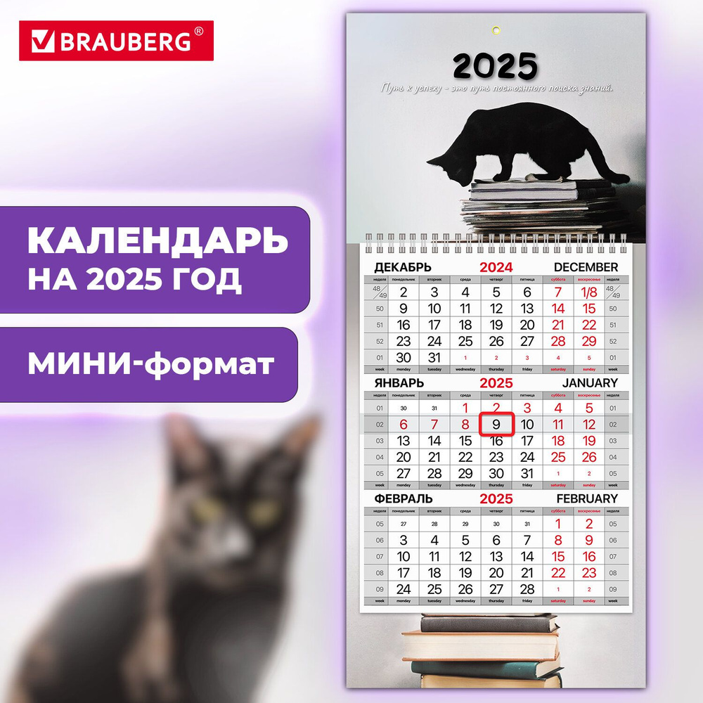 Календарь настенный на 2025 год квартальный отрывной 1 блок, 1 гребень, бегунок, Мини, офсет, Brauberg, #1