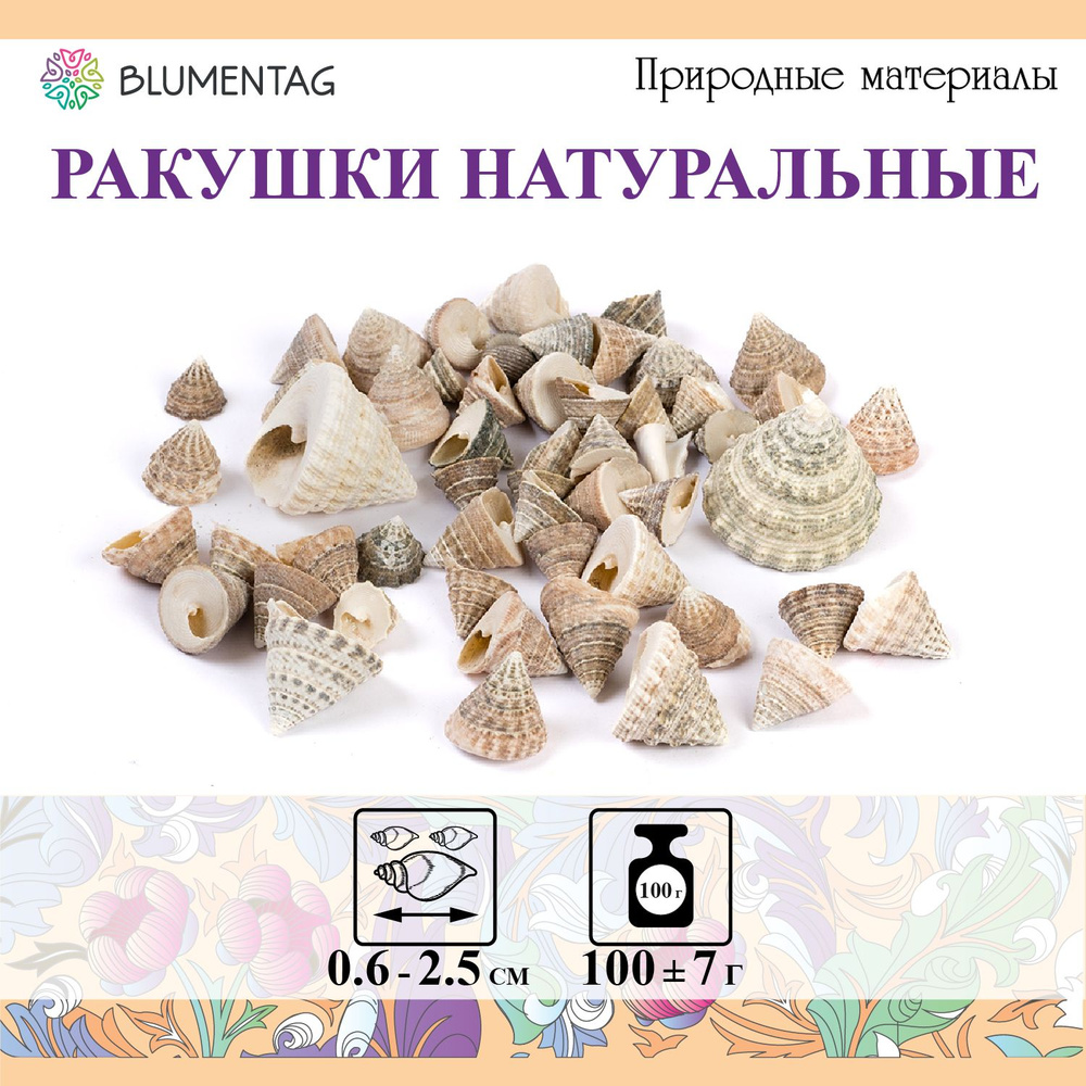 Ракушки морские натуральные для декора "Blumentag" DRF-018, 100г, 2.5см Echinellopsis Grandinatus  #1