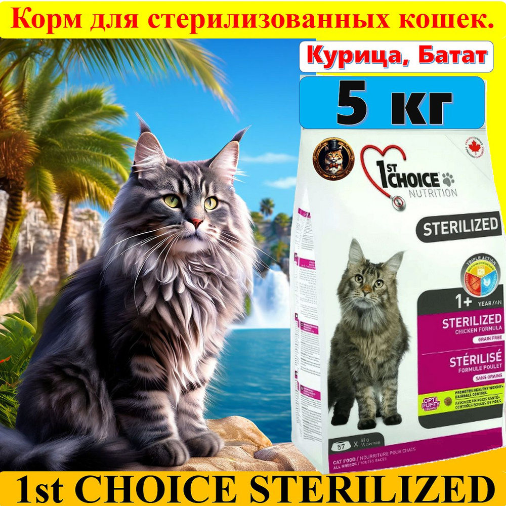 1ST CHOICE STERILIZED - 5 кг сухой беззерновой корм с курицей и бататом для стерилизованных кошек  #1