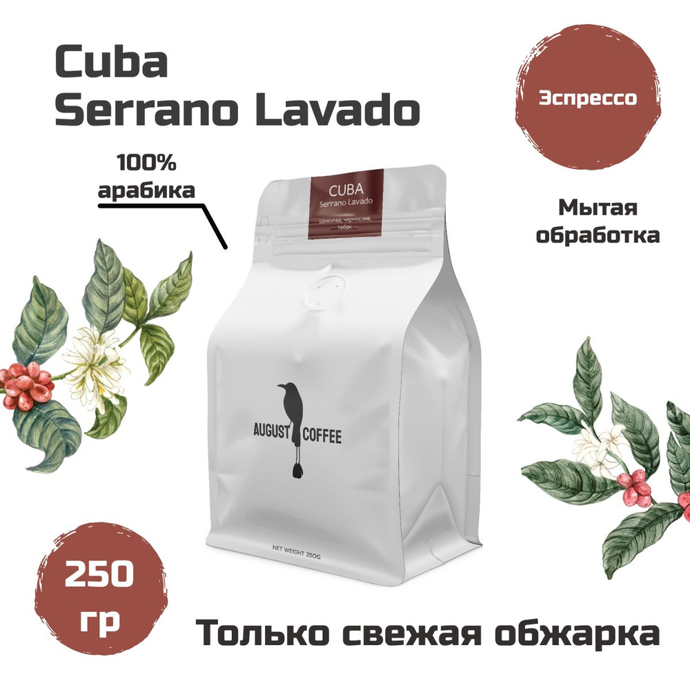 Натуральный кубинский кофе в зернах AUGUST COFFEE Cuba Serrano Lavado с герметичной упаковкой, плотным #1