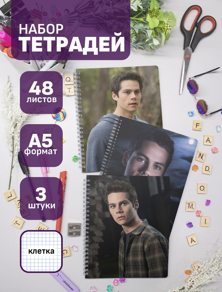 Набор тетрадей (3шт.) 48л. Teen Wolf / Волчонок #1