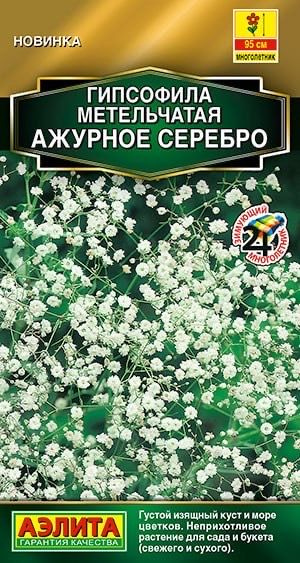 ГИПСОФИЛА АЖУРНОЕ СЕРЕБРО МНОГОЛЕТНЯЯ. Семена. Вес 0,05 гр.  #1