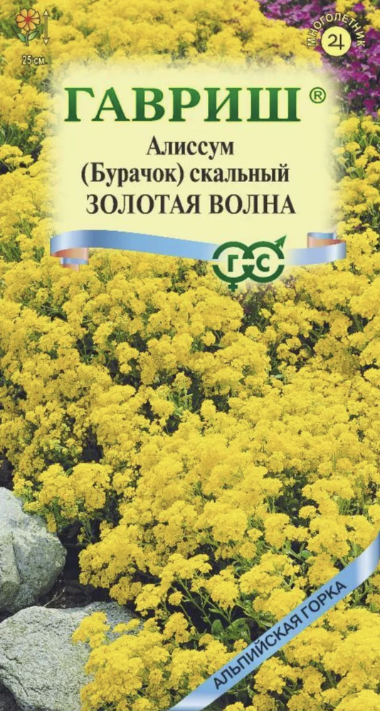 Алиссум скальный Золотая Волна, 1 пакет, семена 0,1 гр, Гавриш  #1