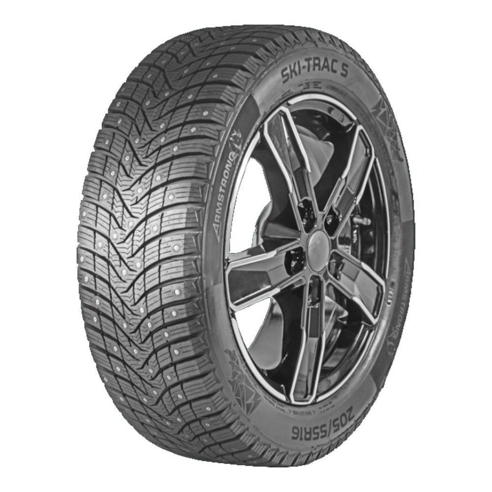 Armstrong SKI-TRAC S Шины  зимние 215/65  R17 103T #1