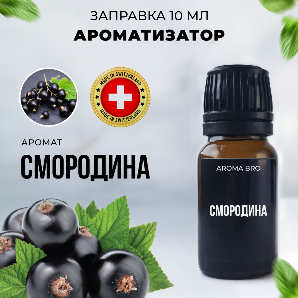 Aroma Bro Ароматизатор автомобильный, Смородина, 10 мл #1