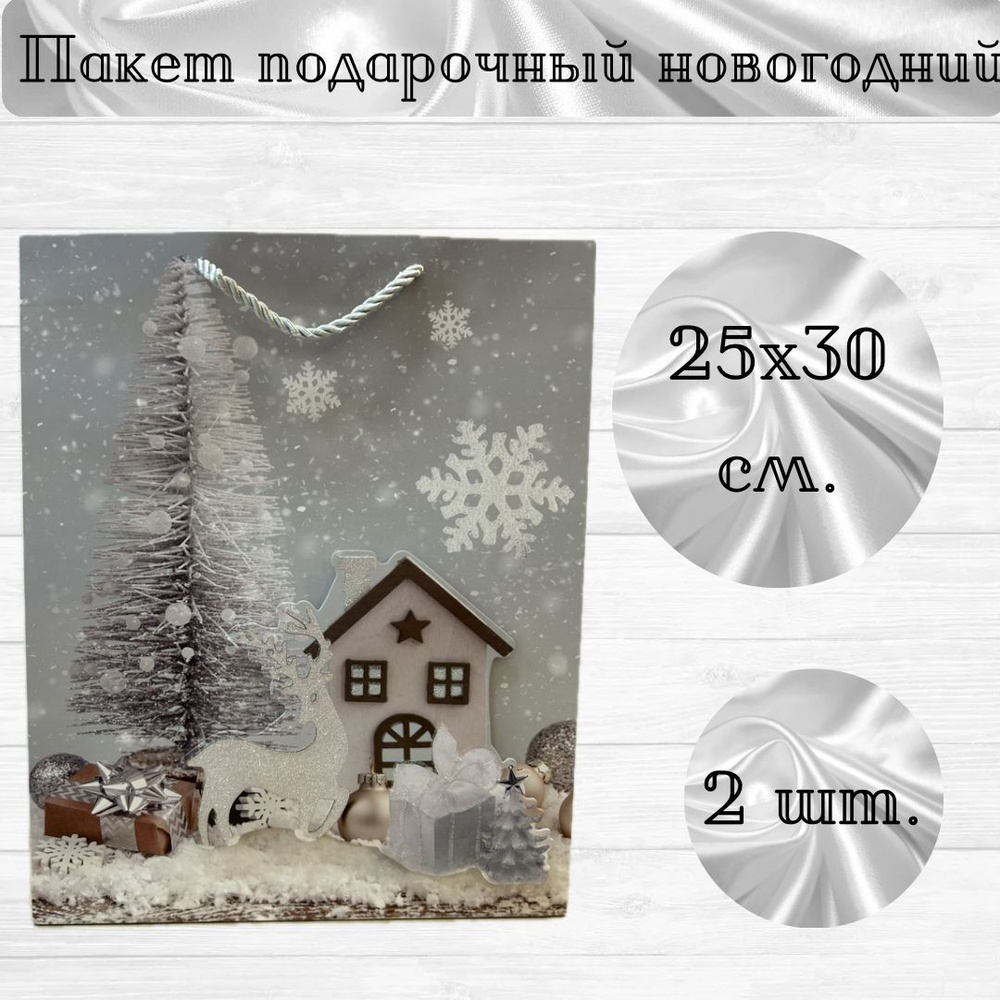 OMG Gift Пакет подарочный 25х30 см,  #1