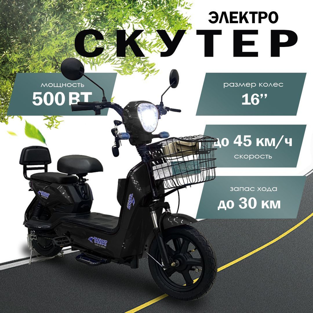 Электроскутер SK8 Tannat черный 450W #1