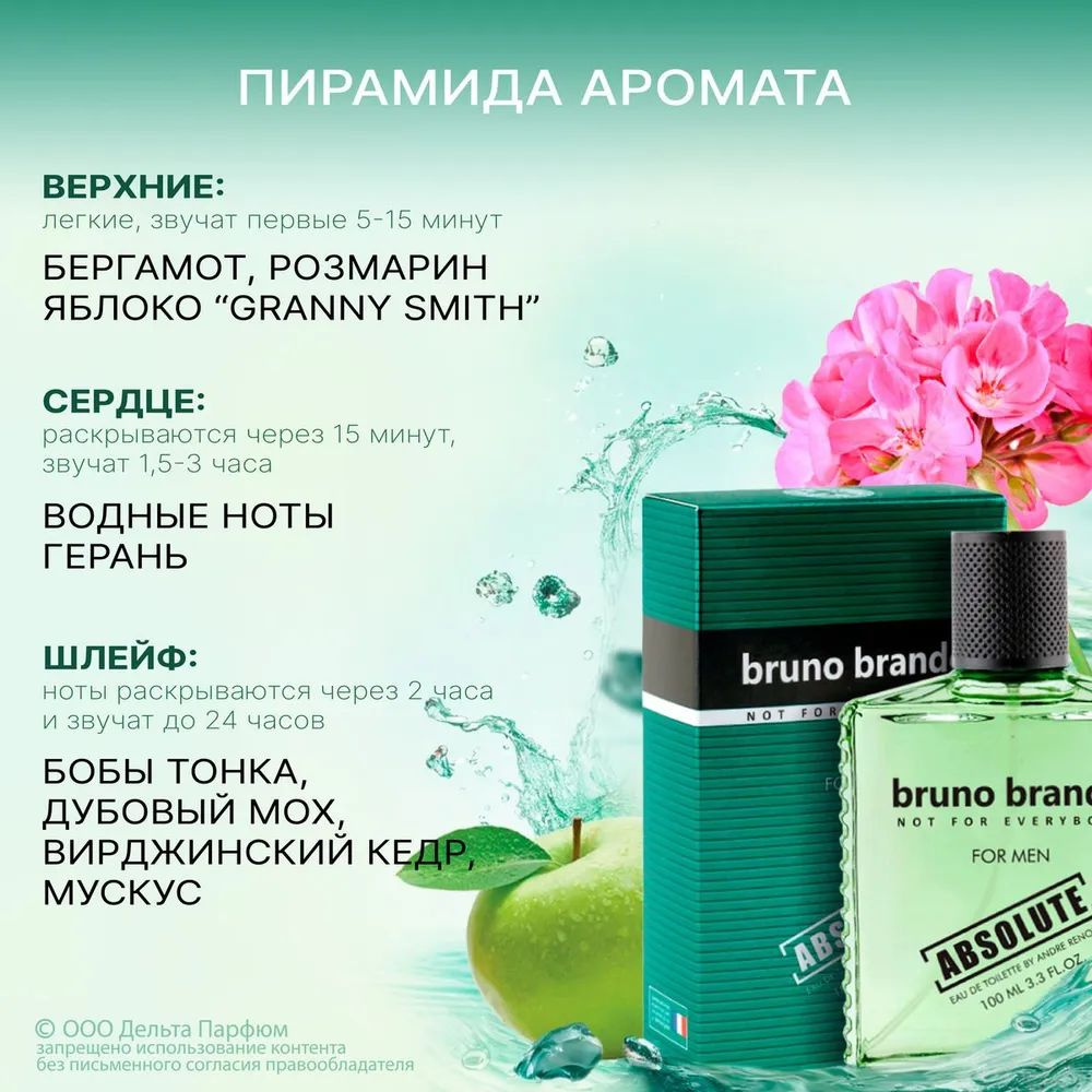 https://www.ozon.ru/product/tualetnaya-voda-muzhskaya-100-ml-absolute-bruno-brando-817336556/