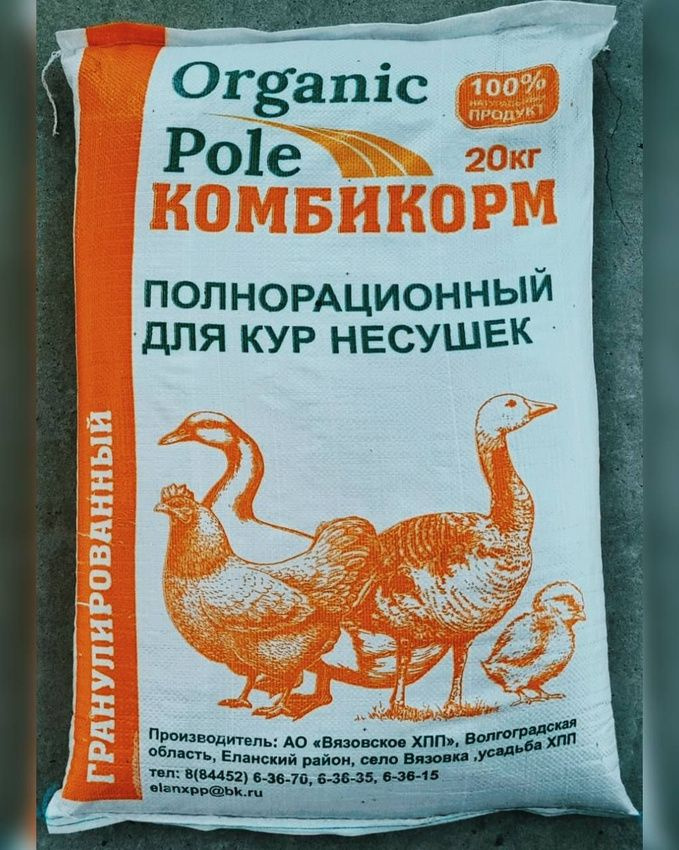 Наш гранулированный комбикорм Organic Pole для кур несушек - это идеальное решение для обеспечения вашей птицы всеми необходимыми питательными веществами. Специально разработанный состав комбикорма обеспечивает полноценное питание кур несушек, учитывая их особенности и потребности.  Комбикорм Organic Pole содержит в себе все необходимые витамины и минералы, которые помогут вашим курам несушкам оставаться здоровыми и активными. Благодаря правильно сбалансированному составу комбикорма, птица будет чувствовать себя отлично и радовать вас своими яйцами высокого качества.  Выбирая комбикорм Organic Pole для кур несушек, вы делаете правильный выбор в пользу здоровья вашей птицы. Удобная упаковка позволяет хранить комбикорм в сухом месте и сохранять его свежесть и питательные свойства.  Обеспечьте вашей птице здоровое и полноценное питание с комбикормом Organic Pole . Пусть ваша птица радует вас отличным самочувствием и высокими результатами!