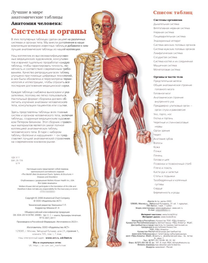 Большой атлас анатомии человека | Human Anatomy Atlas - Ozon image 4