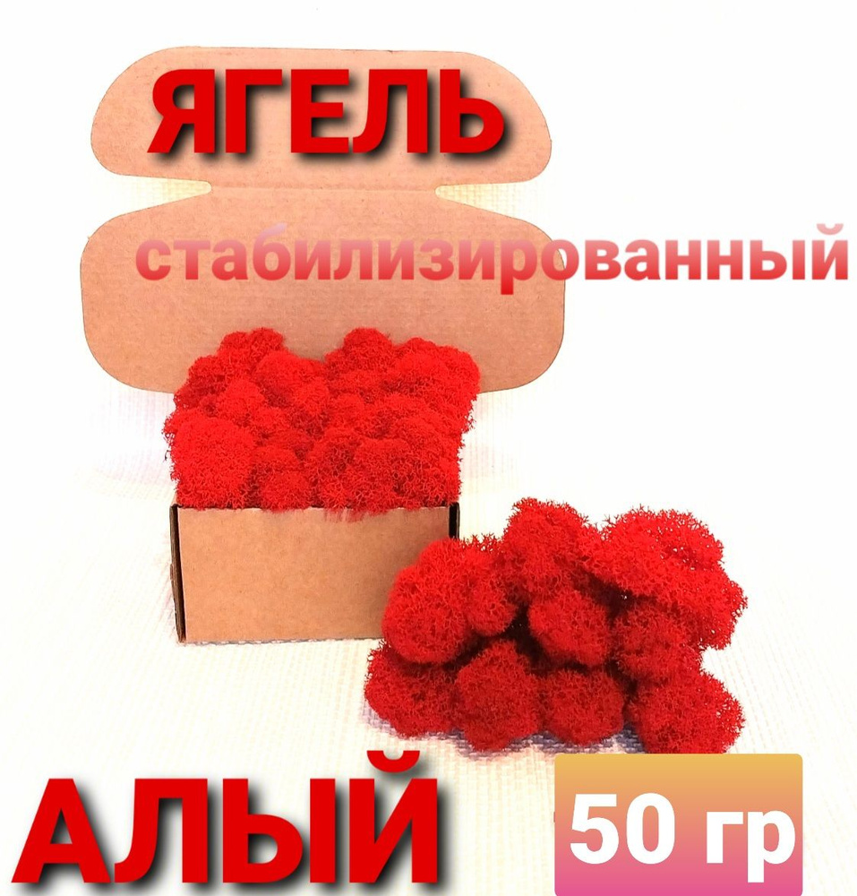 Сухоцветы Мох, 50 гр #1