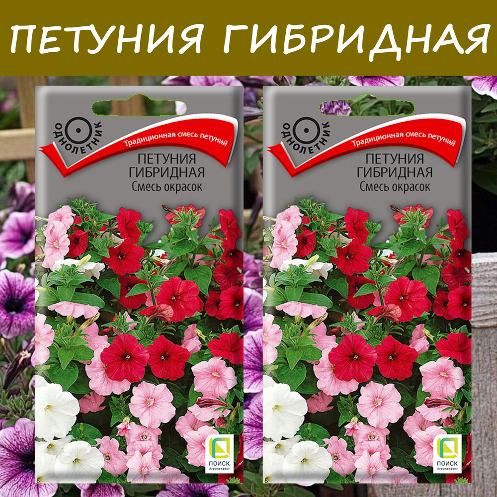 Петуния Гибридная Смесь окрасок, 2 упаковки, "Традиционная смесь"  #1