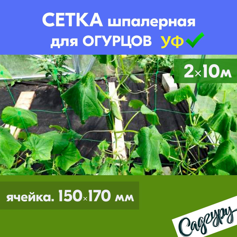 Сетка шпалерная для огурцов 15*17см 2х10м ЗЕЛЕНАЯ подвязка для клематисов, гороха, вьющихся растений, #1