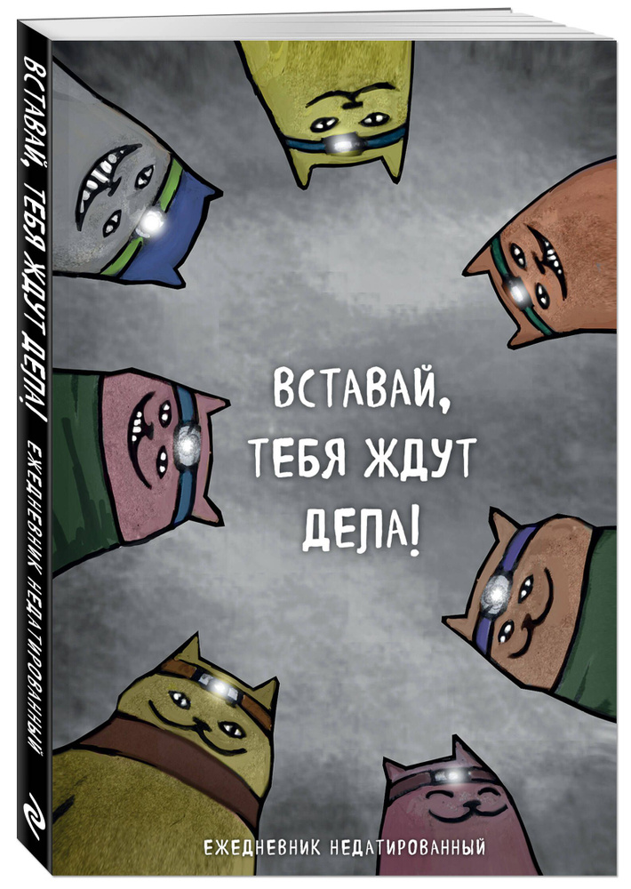 Коты-туристы. Вставай, тебя ждут дела. Ежедневник недатированный (А5, 72 л.)  #1