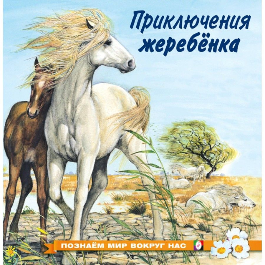 Приключения жеребенка. Гурина И.В. | Гурина Ирина Валерьевна  #1