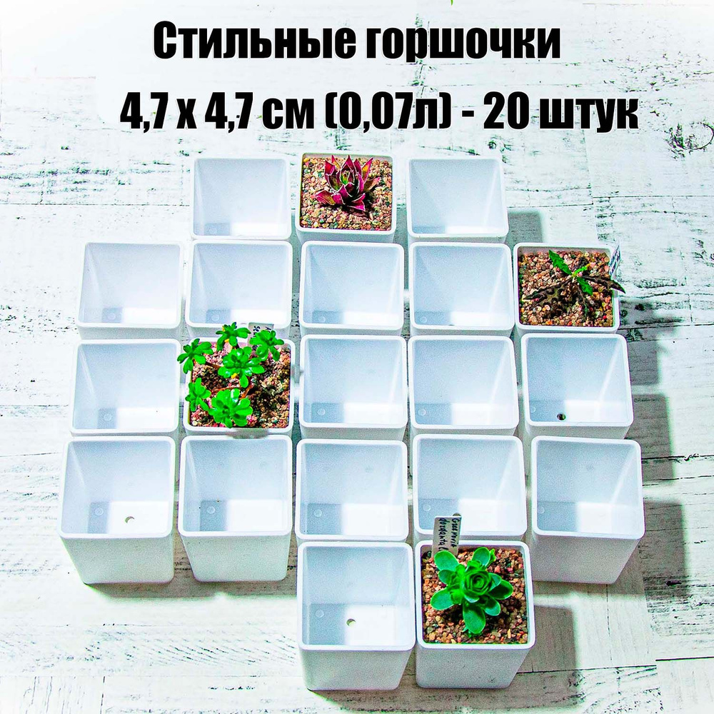 Стильные белые горшочки для суккулентов, кактусов, фиалок, рассады растений 4,7 смх4,7 см 20 шт.  #1