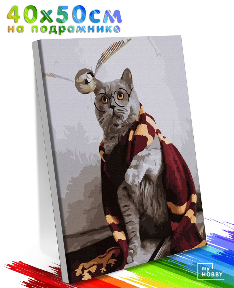 Картина по Номерам на Холсте 40х50 см Colibri Кот Гарри Поттер Животные С Подрамником для Детей и Взрослых #1