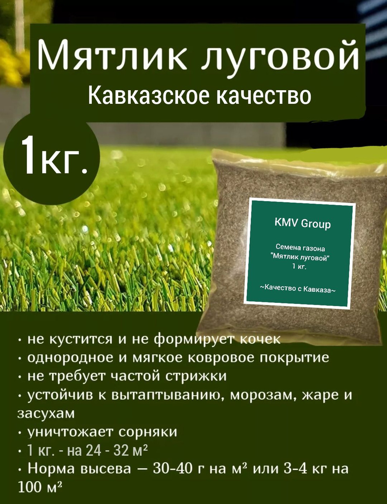 Газон 100% Мятлик луговой семена 1 кг газонная трава / Кавказское качество / KMV Group  #1