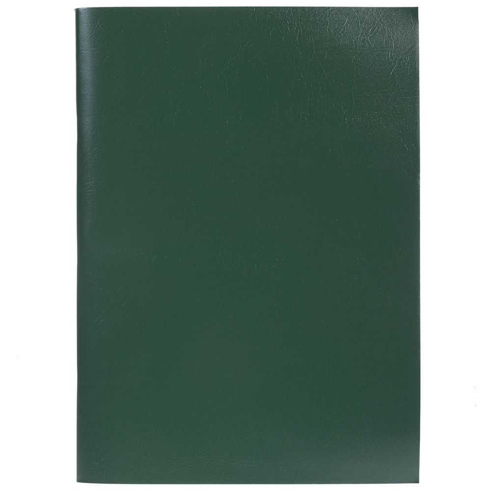 Тетрадь Hatber 96 листов, формат А4, клетка, на скобе, обложка бумвинил Зеленая  #1