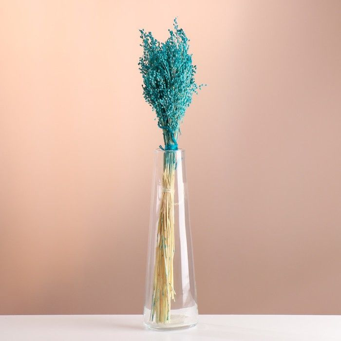 Сухоцветы для декора "Просо" банч длина 45 (+/- 6 см) бирюзовый  #1