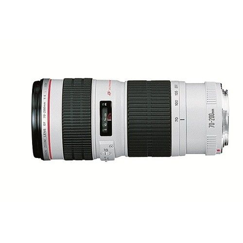 Canon Объектив Canon EF 70-200mm f/4L USM #1