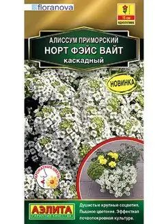 Семена Алиссум Норт фэйс вайт каскадный (12 семян) - Агрофирма Аэлита  #1