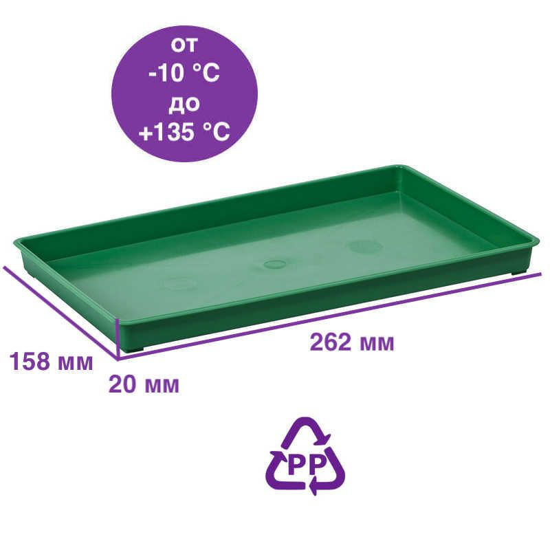 Поднос пластиковый 262х158х20 мм, зелёный #1