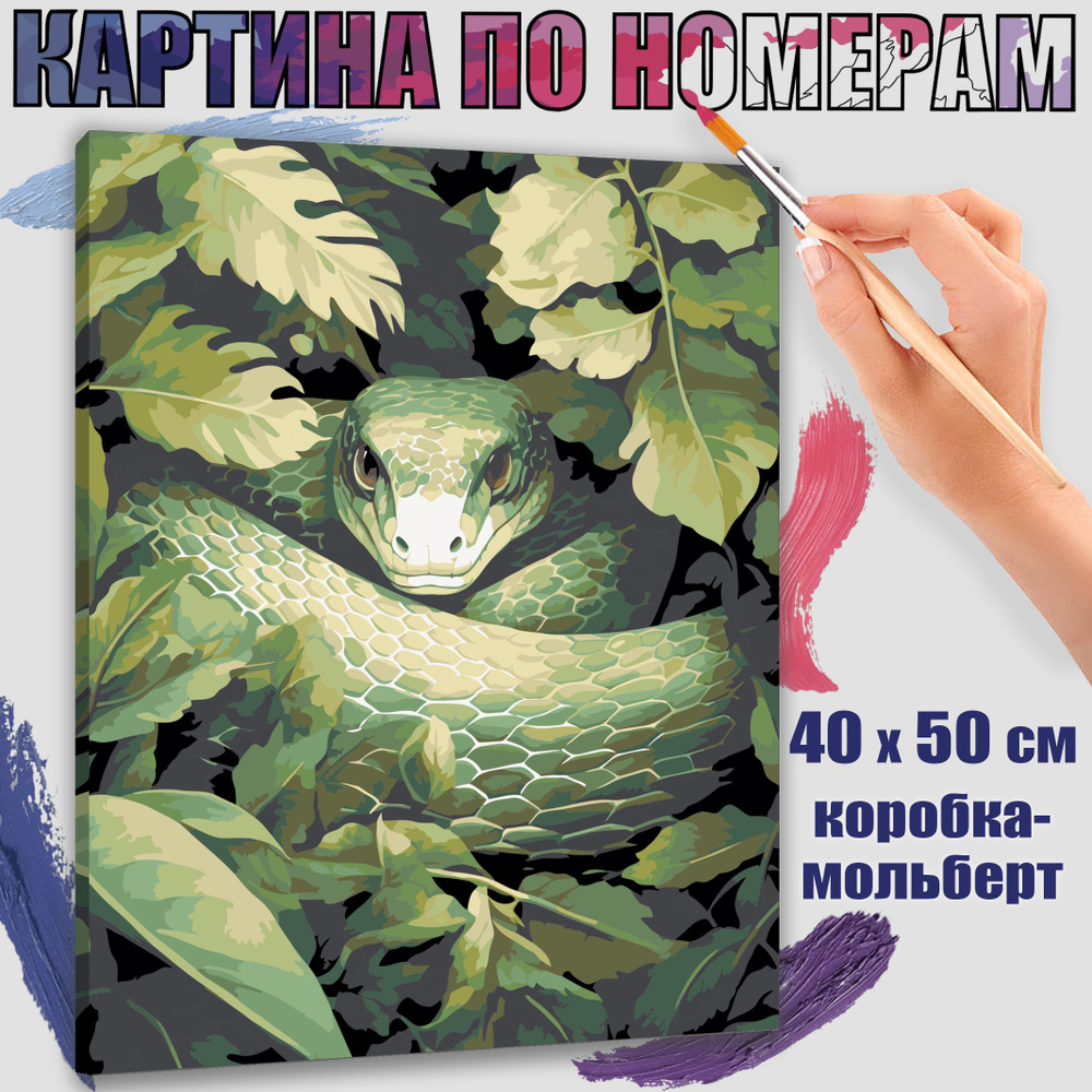 Картина по номерам 40x50 см. Змея в покое #1