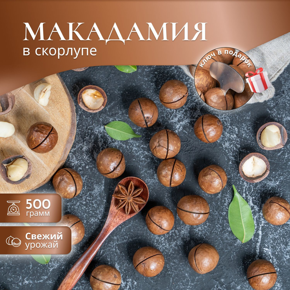 Макадамия 500г, орехи #1