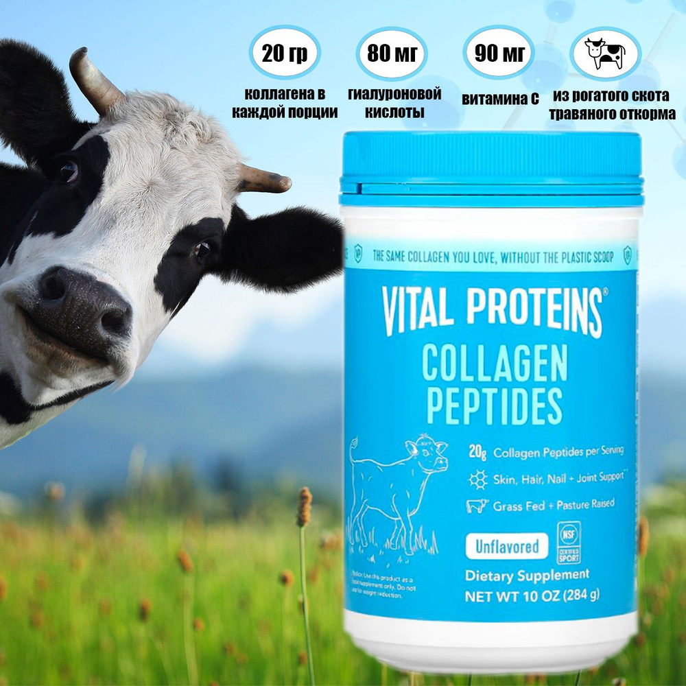 Vital proteins, коллаген порошок, коллаген для суставов, 284 гр., США  #1