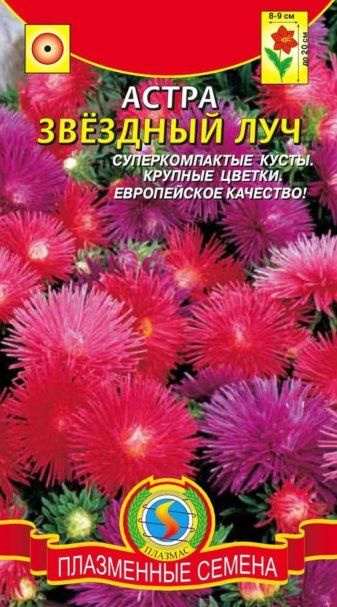 Семена Астра Звёздный луч 01 гр Плазменные семена #1