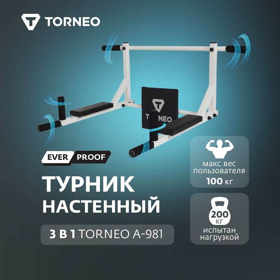 Турник настенный Torneo #1