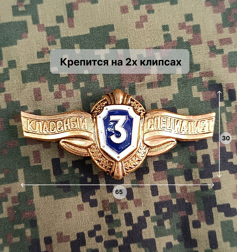 Знак классность МО РФ 3 класс (уставной, для солдат, на клипсах)  #1