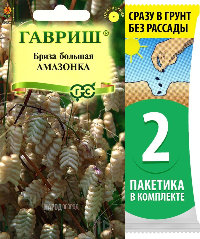 Семена Бриза большая Амазонка, однолетние цветы для сада, 2 пакетика по 0,1г/20шт  #1