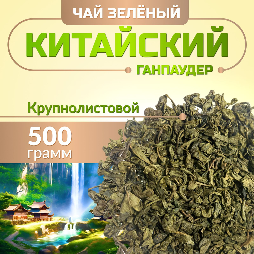 Настоящий Чай листовой зеленый рассыпной 500 г Китайский  #1