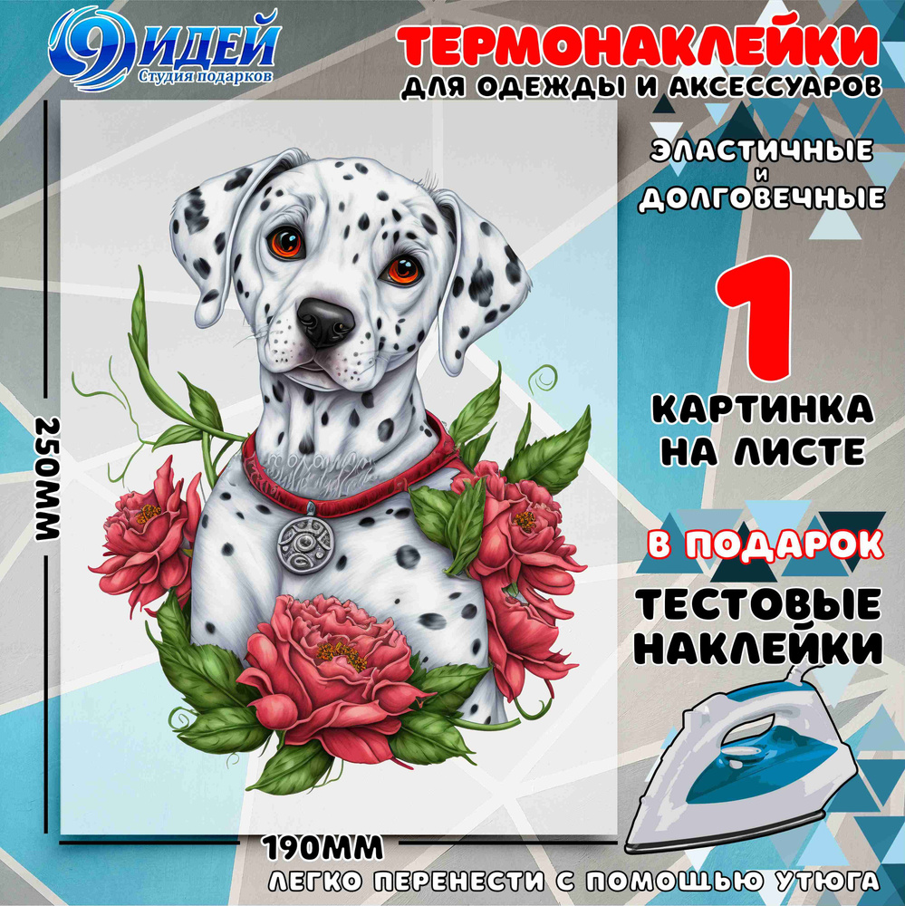 Термонаклейка для одежды и текстиля/ DTF наклейка для одежды/ 19*25 см Долматинец_в_окружении_цветов #1