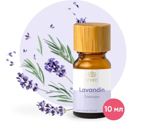 Эфирное масло, Аромамасло, Лавандин (Lavandula intermedia), 10 мл #1