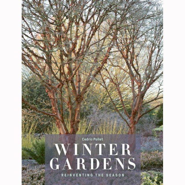 Winter Gardens: Reinventing the Season #1