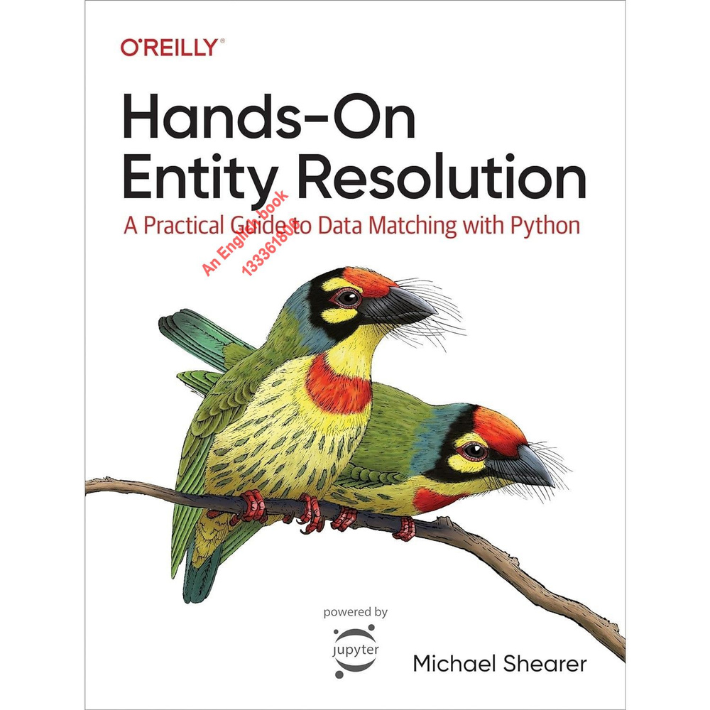 Hands-On Entity Resolution: A Practical Guide to Data Matching with Python #1