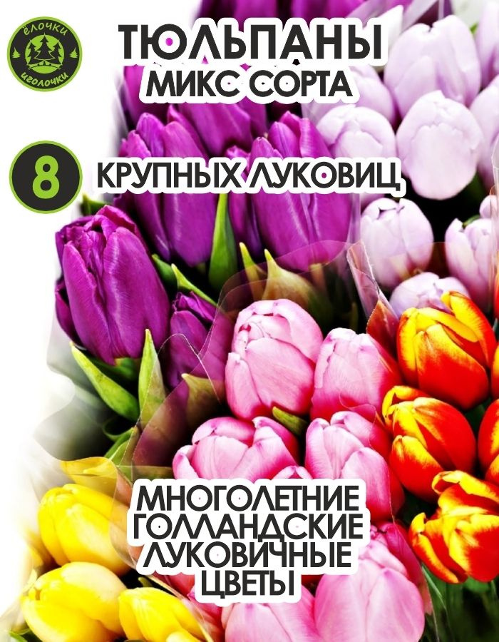 Тюльпан луковичные цветы, Микс сортов 8 шт, крупные #1