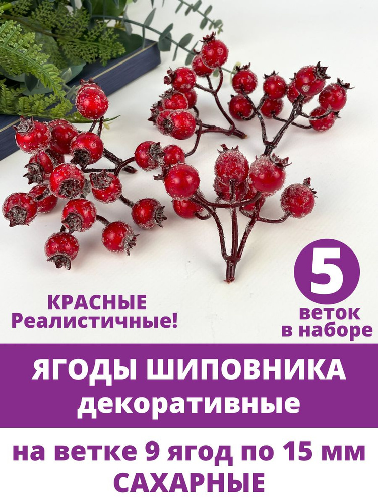 Ягоды Шиповника зонтиком в сахарной обсыпке, на ветке 9 ягод по 15 мм, набор 5 шт.  #1